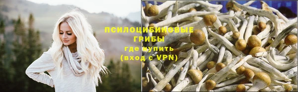 ешки Верея