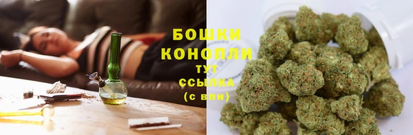 ешки Верея