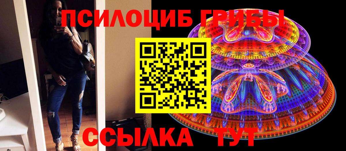 Псилоцибиновые грибы мицелий Волжский