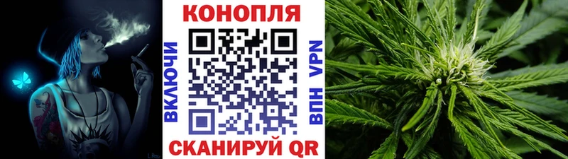Конопля гибрид  Волжский 