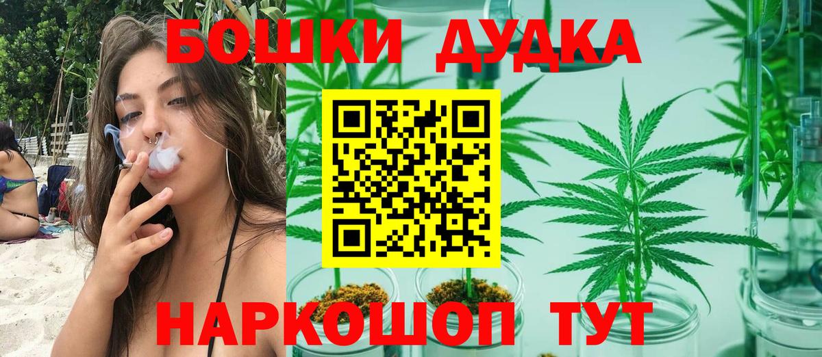 Бошки Шишки сатива Волжский